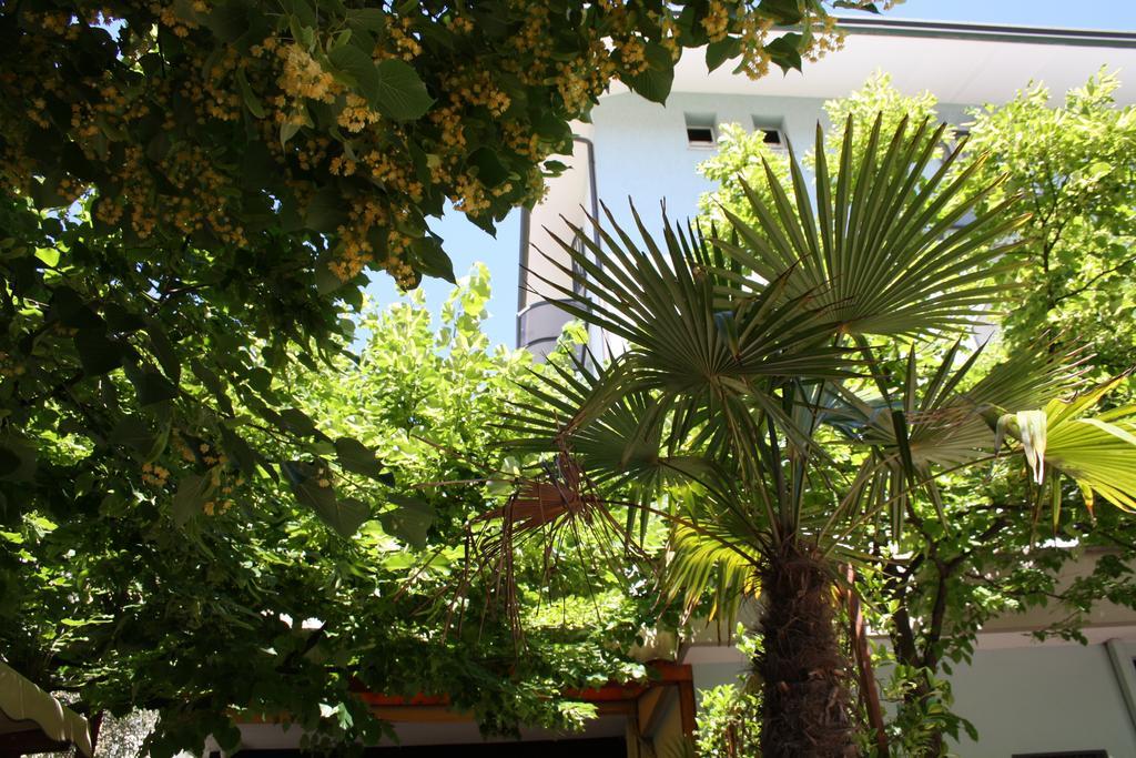 Hotel Villa Dei Gerani Rimini Bagian luar foto